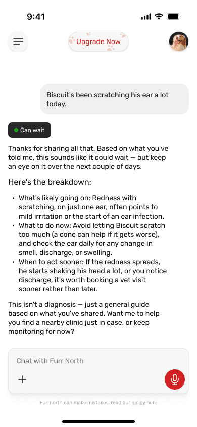 The FurrNorth app showing a triage verdict: a 'Can wait' tier chip with a plain-language breakdown for Biscuit's ear